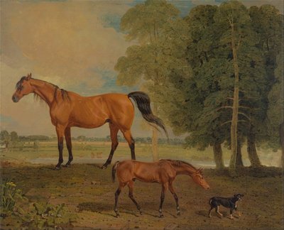 子馬とテリアの繁殖牝馬 作： Benjamin Marshall