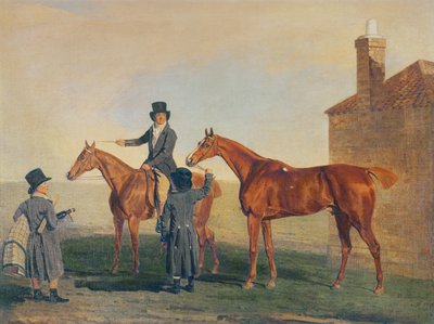 イエローハンマー、1800年頃 作： Benjamin Marshall