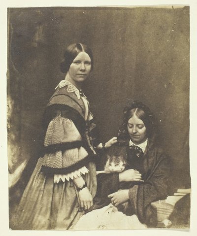 ミセス・クレイク・ホールディング・キャット、c。 1858年。 作： Benjamin Mulock