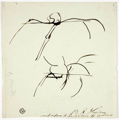マーカス・カーティスの絵画に関するスケッチ 作： Benjamin Robert Haydon
