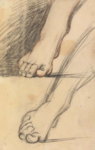 Study of Feet   1442600   ja       japanese Successfully Translated  Original: Perspective illustration, two spheres, engraving from Perspectiva Corporum Regularium, by Wentzel Jamnitzer (1508-1585), Nuremberg Translat: Perspective illustration, two sphere 作： Benjamin Robert Haydon