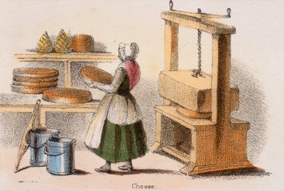 チーズ、c1845。 作： Benjamin Waterhouse Hawkins