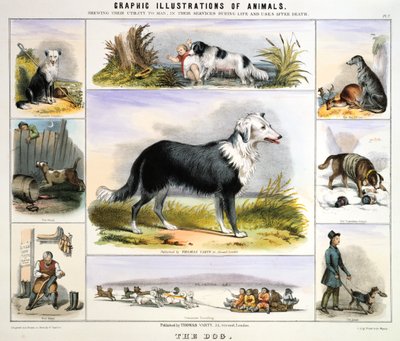 犬、c1850 作： Benjamin Waterhouse Hawkins