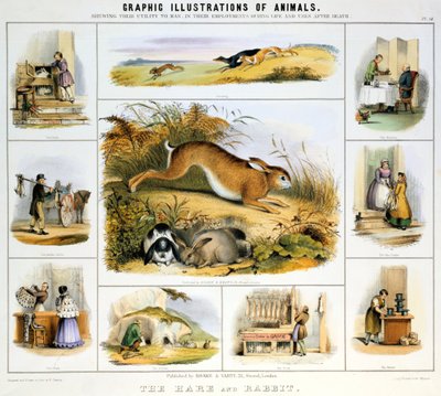 ウサギとウサギ、c1850 作： Benjamin Waterhouse Hawkins