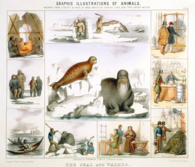シールとセイウチ、c1850 作： Benjamin Waterhouse Hawkins