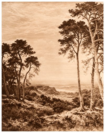 雨の後の日没、1903 作： Benjamin Williams Leader