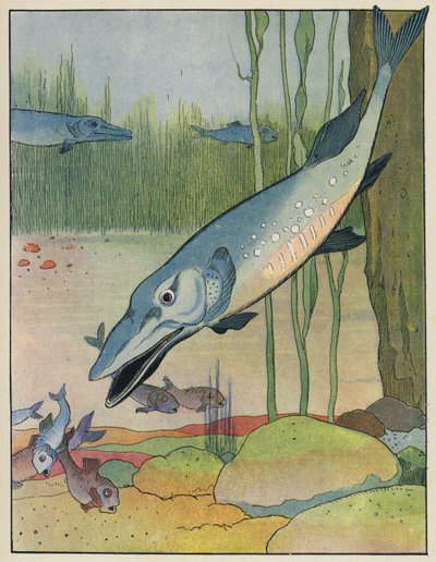 魚 作： Benjamin Rabier