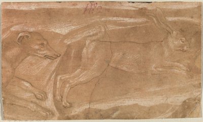 うさぎを追う猟犬 作： Benozzo Gozzoli