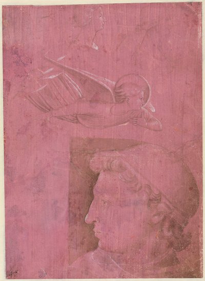 男性の頭、女性のプロファイルの2つの研究、および天使の天使の研究、c。 1458年。 作： Benozzo Gozzoli