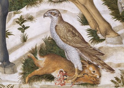 捕らえられたウサギが描かれた鷹、礼拝堂のマギジャーニーサイクルの詳細、1460年頃のフレスコ画70601の詳細 作： Benozzo di Lese di Sandro Gozzoli
