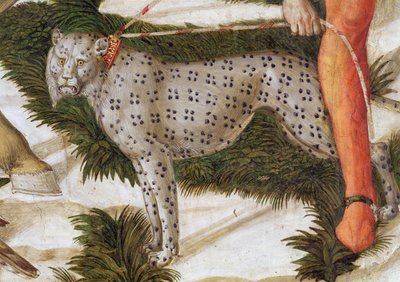 ヒョウが鎖で引っ張っている、礼拝堂のマギサイクルの旅の詳細、1460年頃のフレスコ画70601の詳細 作： Benozzo di Lese di Sandro Gozzoli