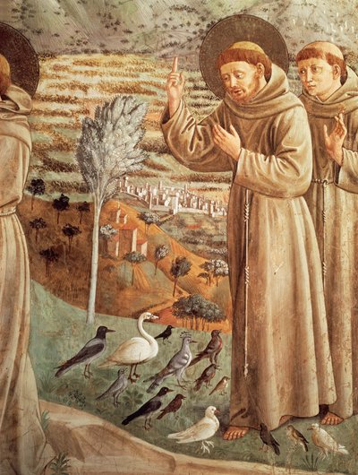 鳥に説教する聖フランチェスコの生涯の物語（1452年）、ベノッツォ・ゴッツォーリ（1421-1497）によるフレスコ画のサイクル、後陣の支柱、聖フランチェスコ教会（イタリア、ウンブリア州、モンテファルコ 作： Benozzo di Lese di Sandro Gozzoli