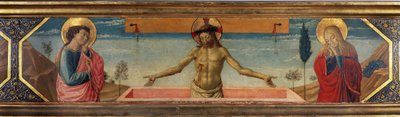 不明な画像 作： Benozzo di Lese di Sandro Gozzoli