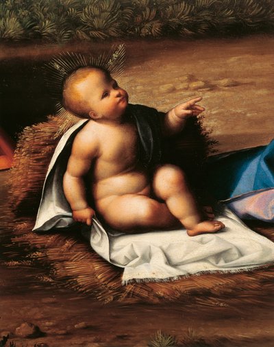 ガロファロ（1481-1559）の「キリスト降誕」の細部に描かれた赤ん坊のイエス 作： Benvenuto Tisi da Garofalo