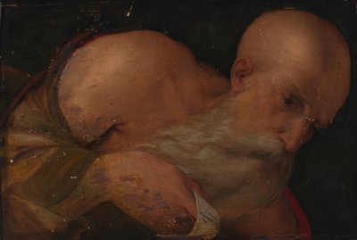 男の肖像 作： Benvenuto Tisi da Garofalo