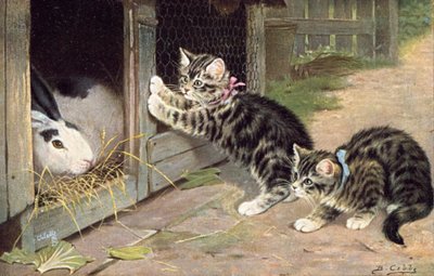 猫のポストカード（カラーリトグラフ） 作： Bernard Cobbe