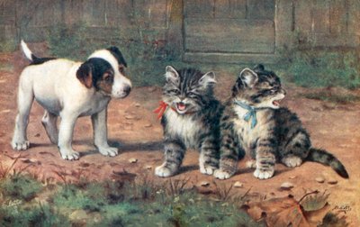 猫のポストカード（カラーリトグラフ） 作： Bernard Cobbe