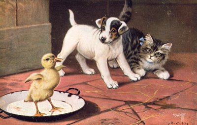 猫のポストカード（カラーリトグラフ） 作： Bernard Cobbe