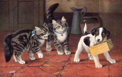 猫のポストカード（カラーリトグラフ） 作： Bernard Cobbe
