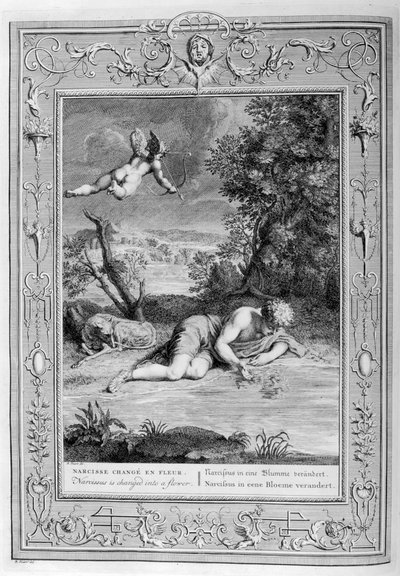 1733年、自分の考えに恋する水仙 作： Bernard Picart