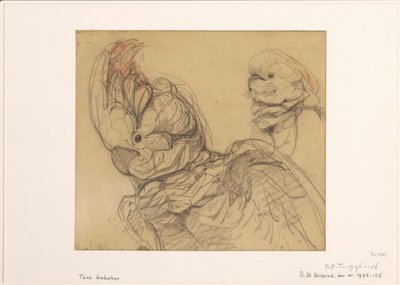 半分の長さの 2 つのオウム 作： Bernard Willem Wierink