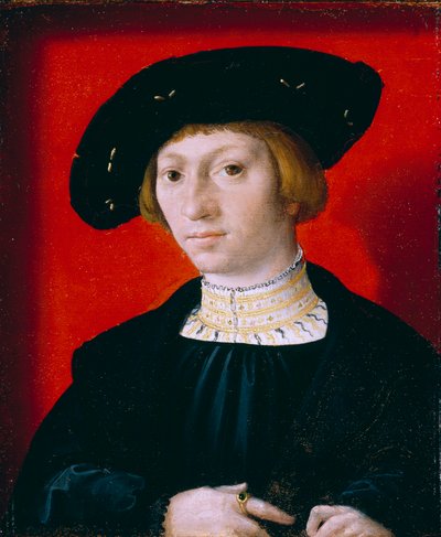 ある青年 作： Bernard van Orley