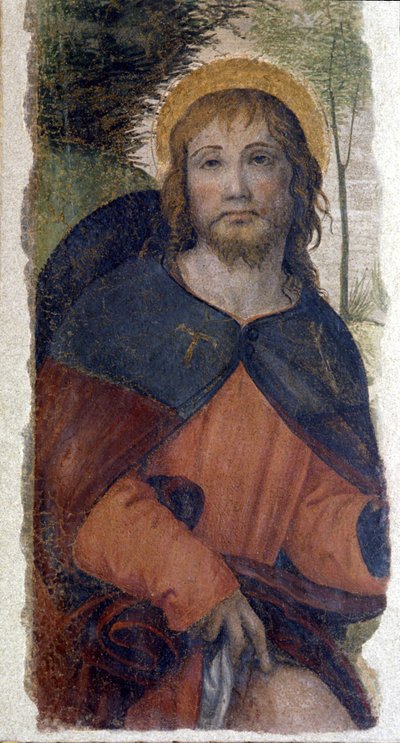 聖ロコ（ロッシュ）の表現。ベルナルディーノ・ルイーニ（1485-1532）と呼ばれるベルナルディーノ・デ・スカピスの学派のフレスコ画。16世紀 作： Bernardino (school of) Luini