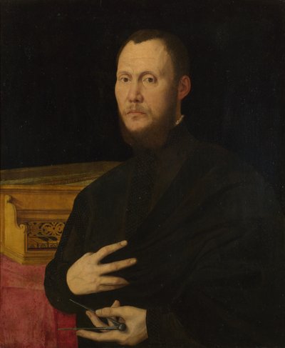 ミュージシャンの肖像、c。 1565年 作： Bernardino Campi