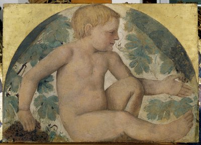 プッティの収穫 - パーゴラの下のプッティ、1514年頃（船上で運ばれた切り離されたフレスコ画 作： Bernardino Luini