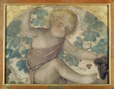 プッティの収穫 - パーゴラの下のプッティ、1514年頃（船上で運ばれた切り離されたフレスコ画 作： Bernardino Luini