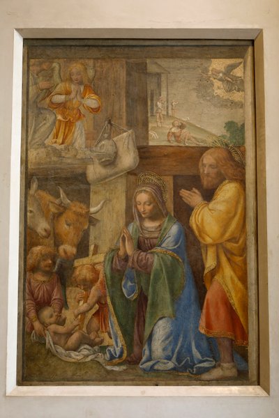 羊飼いの降誕と崇拝、c。 1520-1525 (パネルに油彩) 作： Bernardino Luini