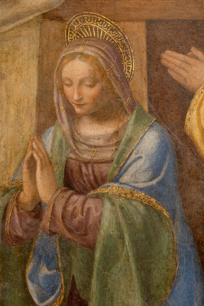 羊飼いの降誕と崇拝、c。 1520-1525。 詳細（パネルに油彩） 作： Bernardino Luini