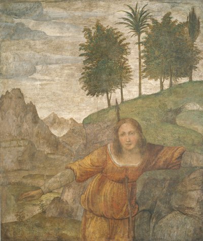 ケファルスのジャベリンで突き刺されたプロクリス、c。 15201522。 作： Bernardino Luini