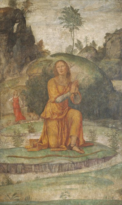 ダイアナへのプロクリスの祈り、c。 15201522。 作： Bernardino Luini