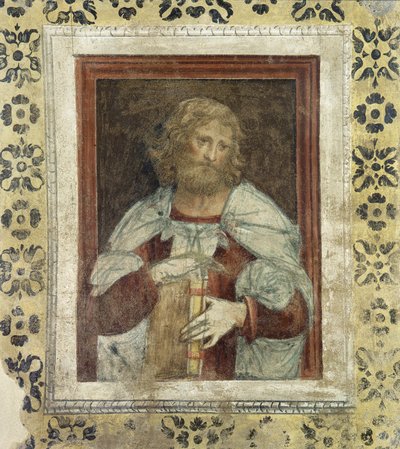 預言者 作： Bernardino Luini
