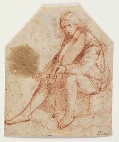 ビオラを持って座る若者 作： Bernardino Luini