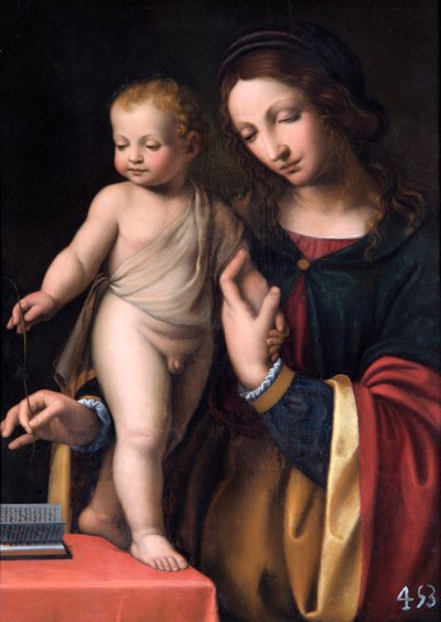立っている子供を持つ聖母（ポプラパネルに油彩） 作： Bernardino Luini