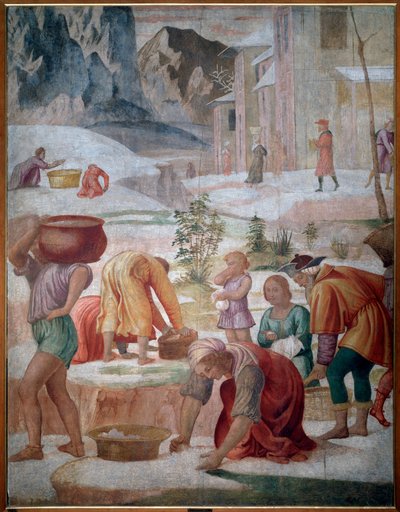マナの採集、砂漠のイスラエル人 - フレスコ画 作： Bernardino Luini