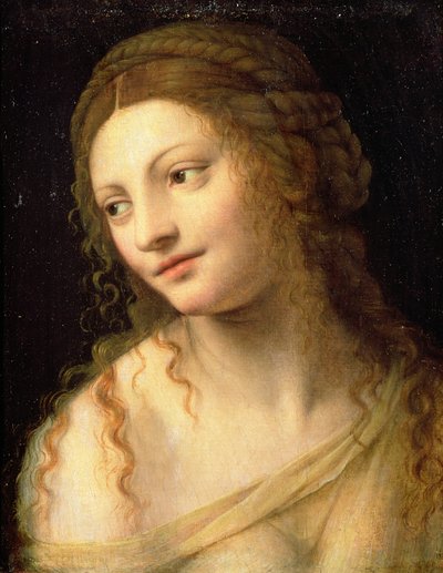不明な画像 作： Bernardino Luini