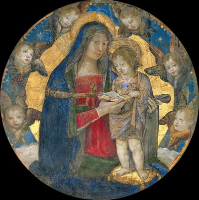 聖母子とケルビム、1492-1495。 作： Bernardino Pinturicchio