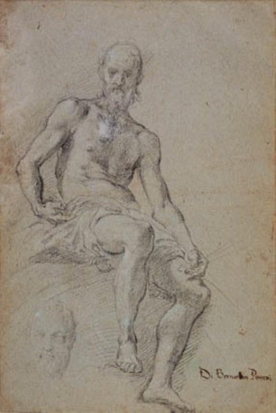半裸で座っている男。 右下に彼の頭のかすかな研究 作： Bernardino Poccetti