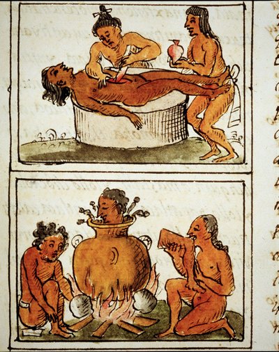 アステカの人間の生け贄とカニバリズム。ベルナルディーノ・サハグンの手稿 作： Bernardino de Sahagun