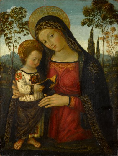 マドンナとチャイルド、1490-1495年頃（パネル上のテンペラ） 作： Bernardino di Betto Pinturicchio
