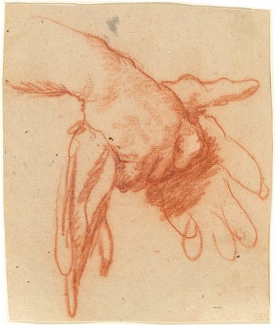 空の手袋を持っている手 作： Bernardo Strozzi