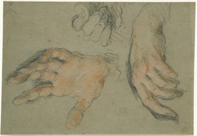 三手の研究、1625-30（紙に黒と赤のチョーク） 作： Bernardo Strozzi