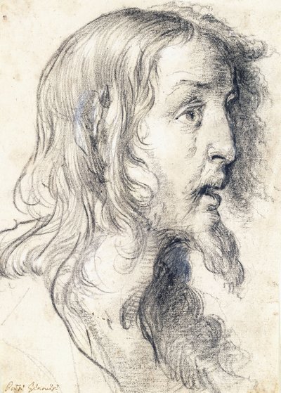 右側の横顔のキリストの頭、 作： Bernardo Strozzi
