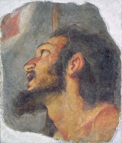 洗礼者聖ヨハネの頭、フレスコ画の断片 作： Bernardo Strozzi