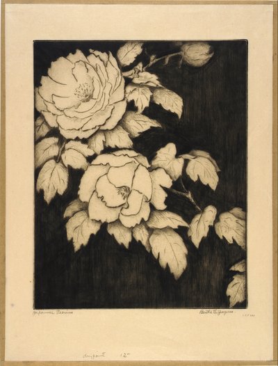 日本の牡丹 作： Bertha E. Jaques