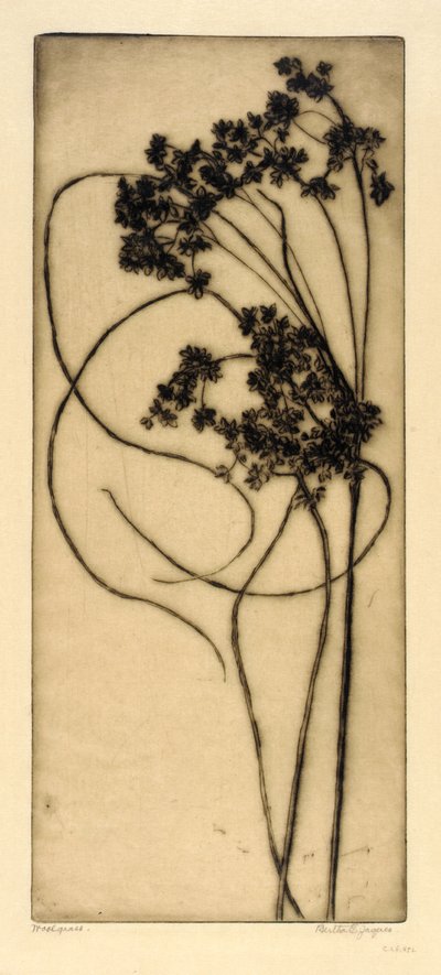 ウールグラス 作： Bertha E. Jaques