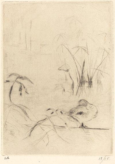 岸辺で休むアヒル、18881890。 作： Berthe Morisot